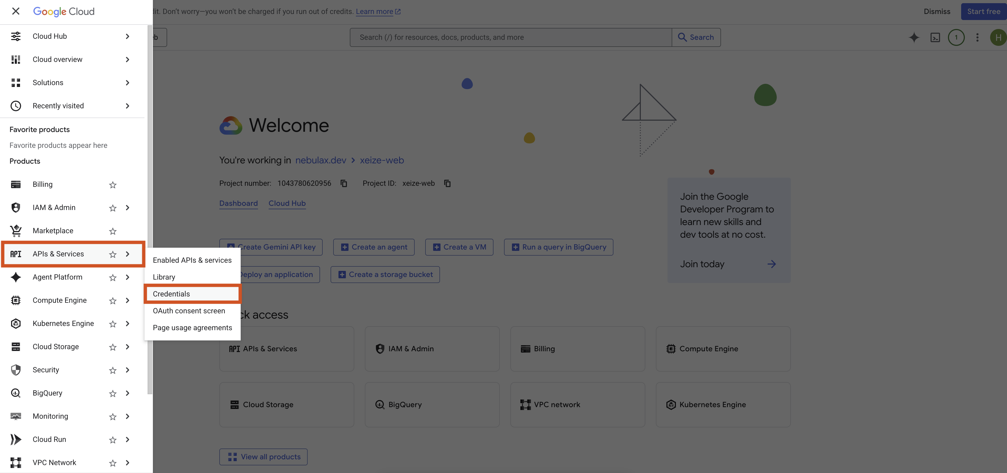 Credentials page in Google Cloud Console